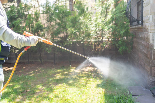 Best Best Pest Control Companies  in Farmington, PA