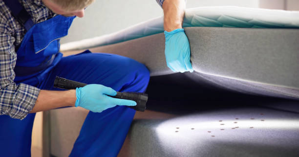 Best Wasp Removal Services  in Farmington, PA