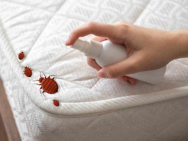Best Pest Prevention Services  in Farmington, PA