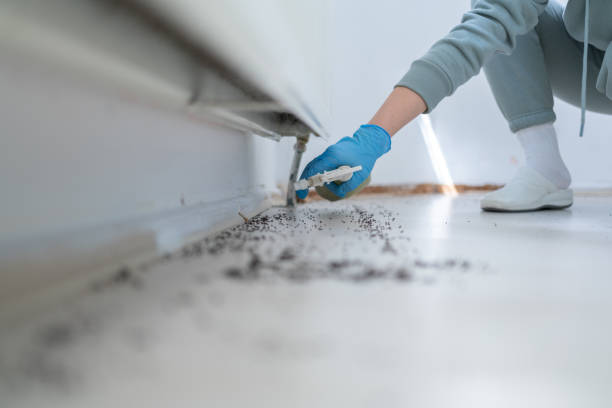 Professional Pest Control in Farmington, PA