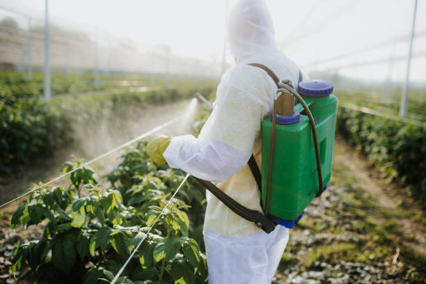Best Cockroach Control Services  in Farmington, PA